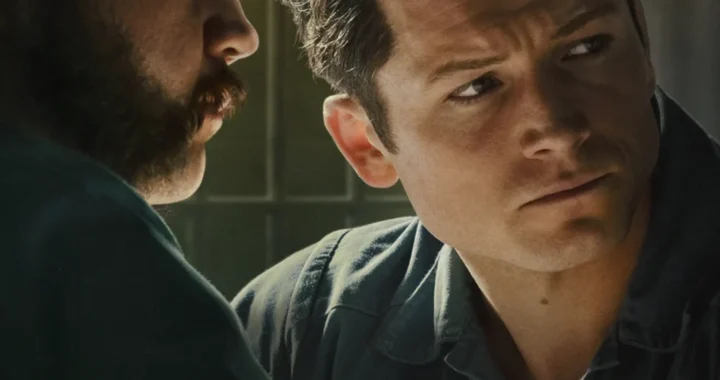 Чёрная птица Чёрная птица