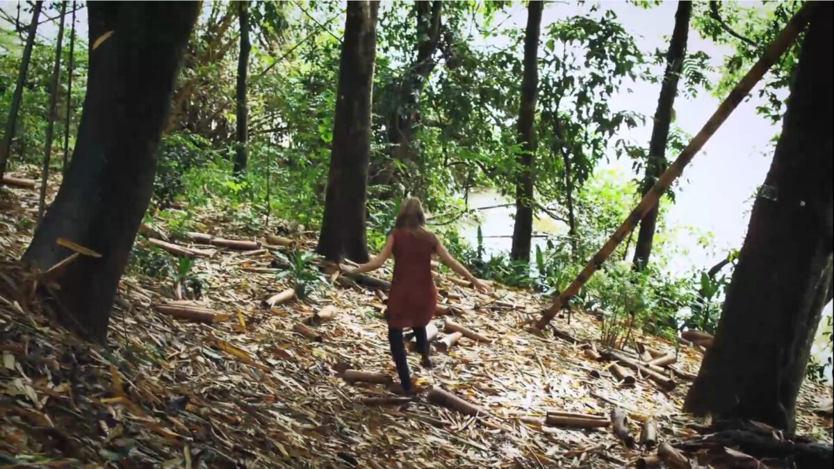 Вероника. Беглянка